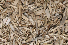 biomass boilers Longsight